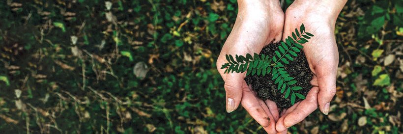 SeedSafer's profile banner image