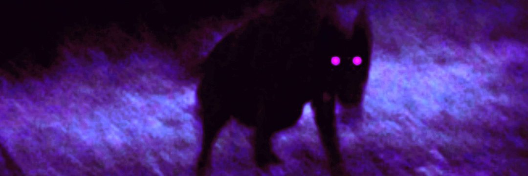 voidhovnd's profile banner image