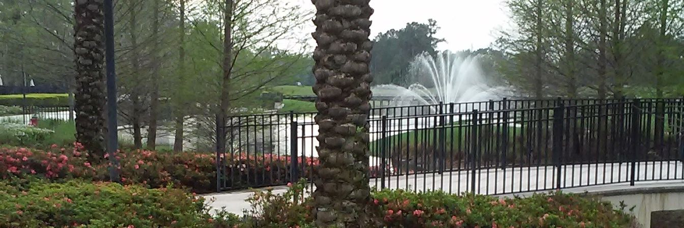 MichelleLeaYogi's profile banner image