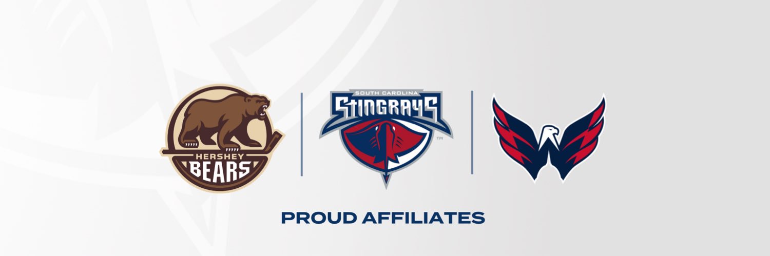 South Carolina Stingrays's banner