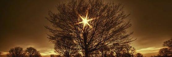 InSideGoDsHed banner