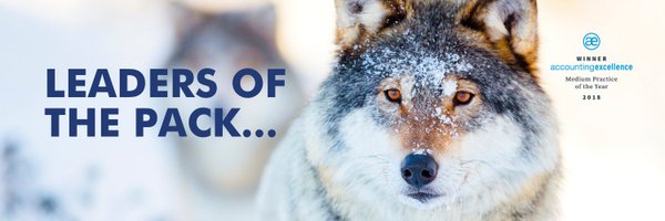 Green_and_co Profile Banner