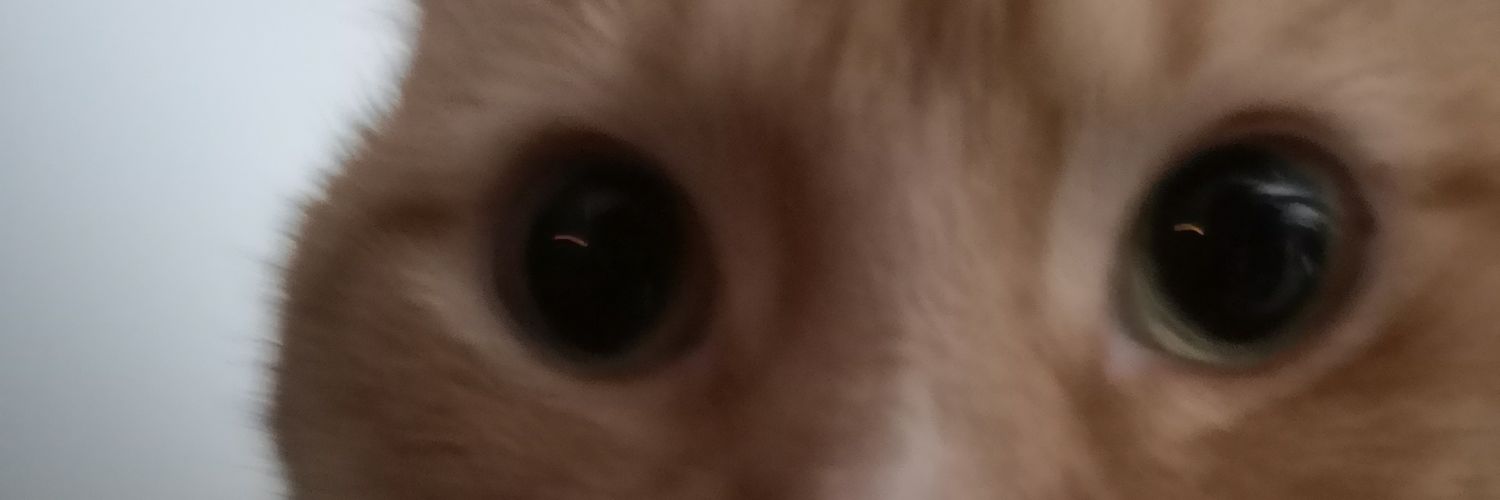sluggly wuggly banner