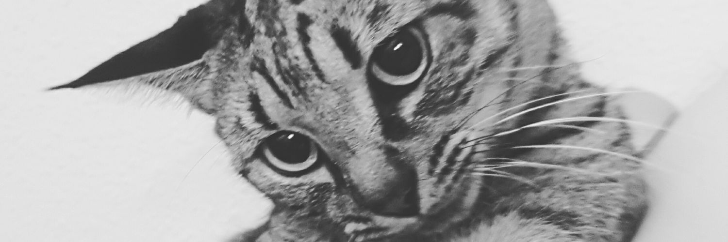 Lidia_B_I's profile banner image