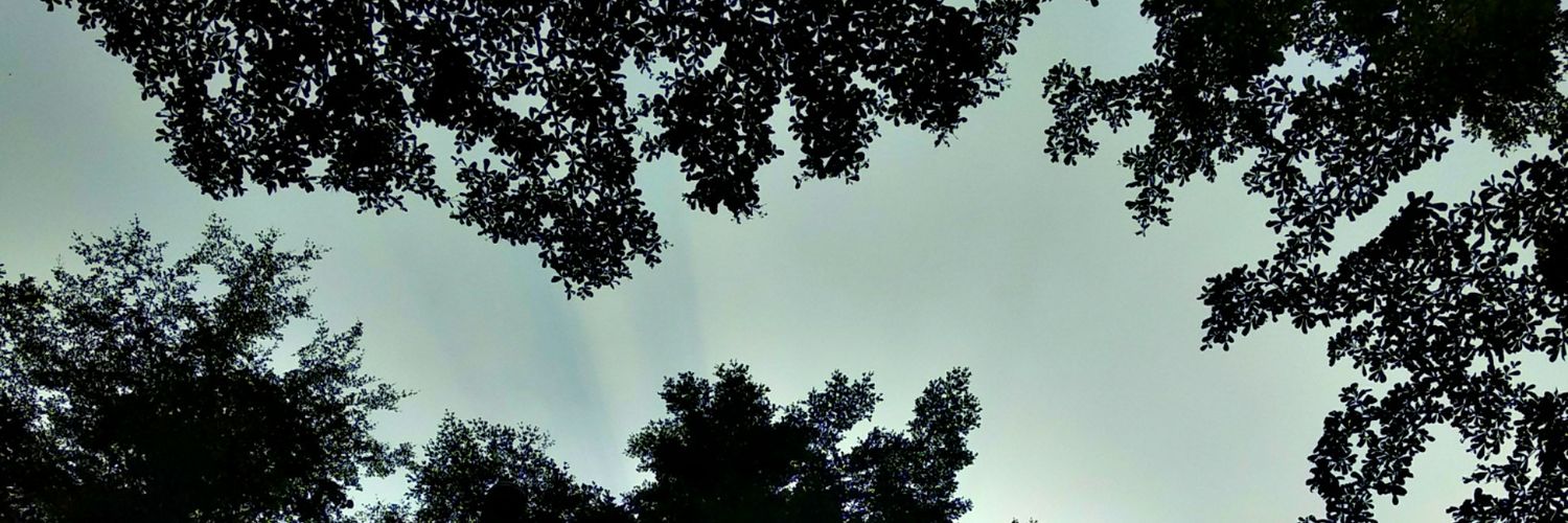 syamsulmoveit's profile banner image