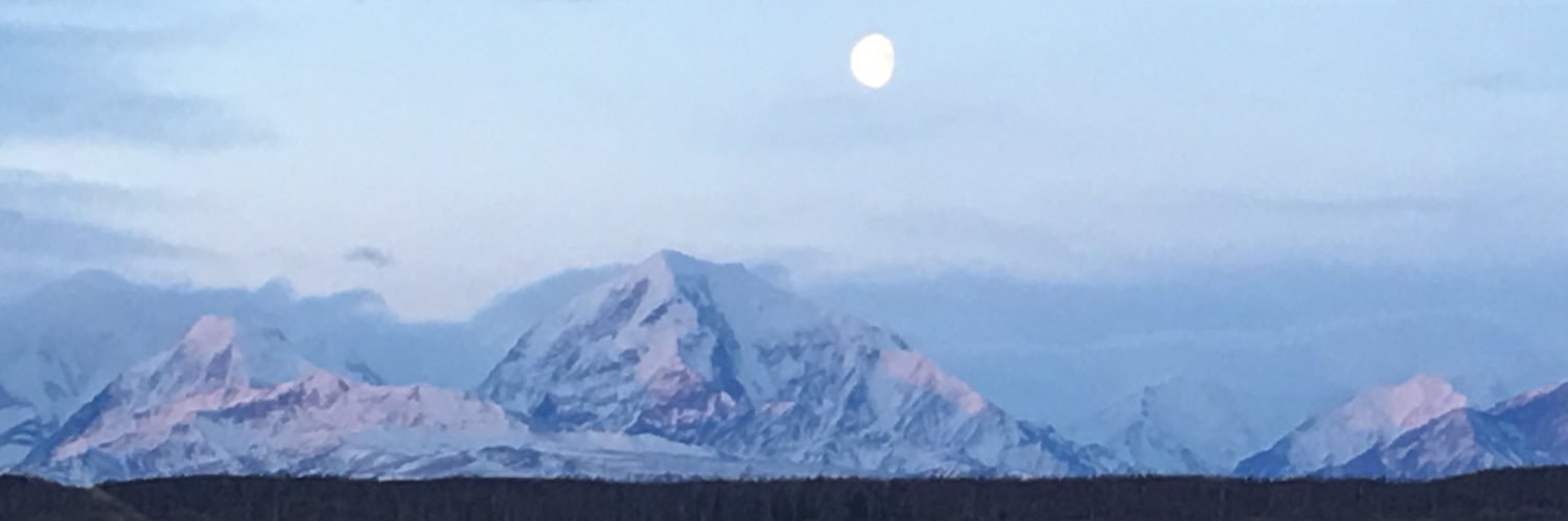 AndyisAngry's profile banner image
