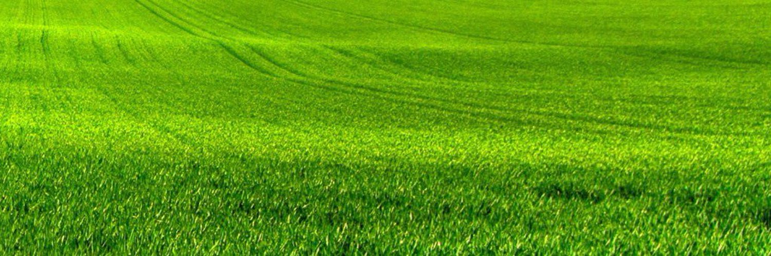 leganhbb's profile banner image