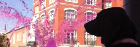 BAGilmore2147's profile banner image