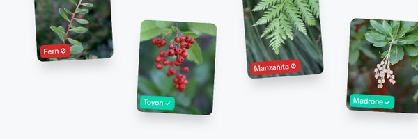 lobe_ai Profile Banner