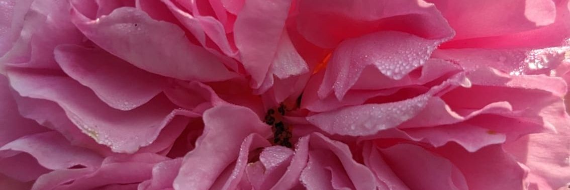 pierrodeville's profile banner image