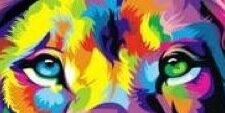 maureto's profile banner image