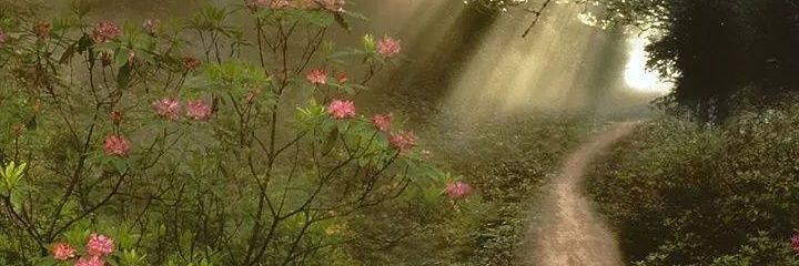 anderidize_yaw's profile banner image