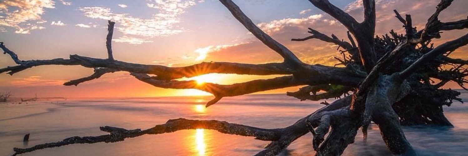 Timbez09's profile banner image