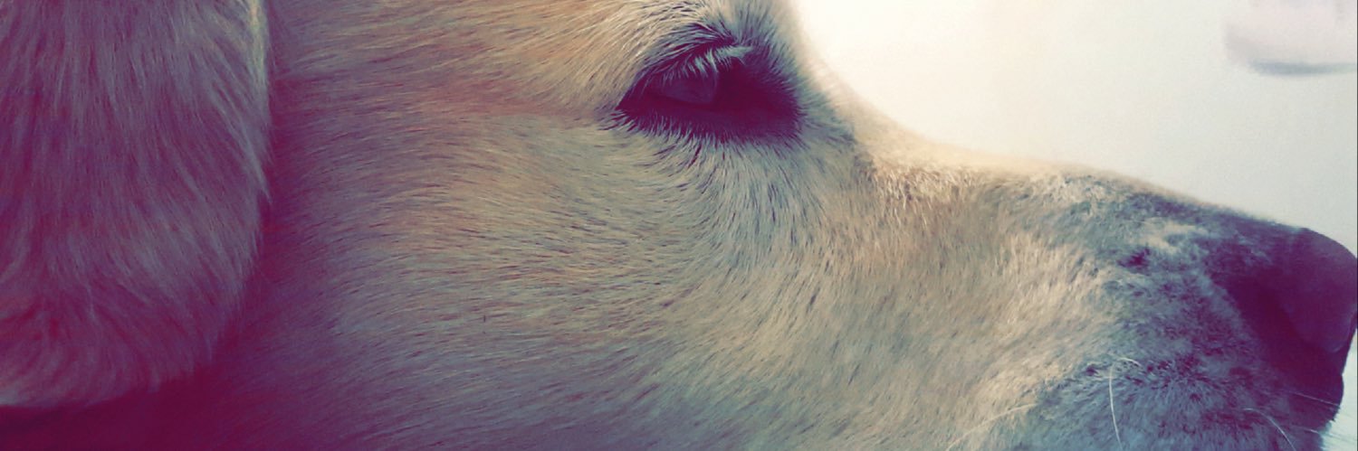 Leilz08's profile banner image