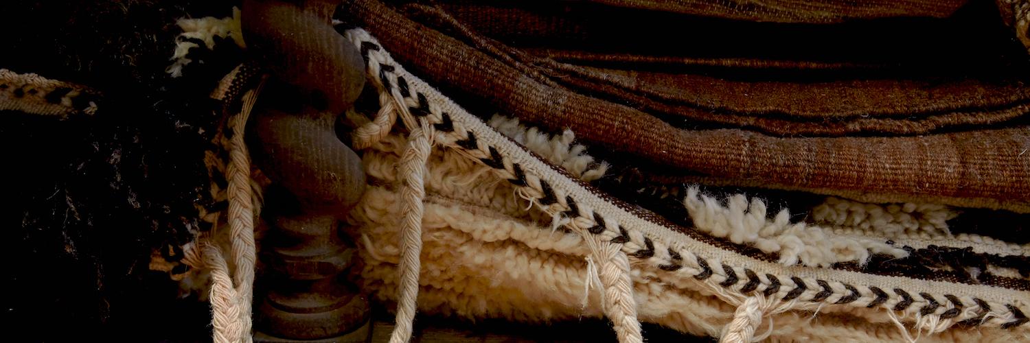 Michael Del Piero banner