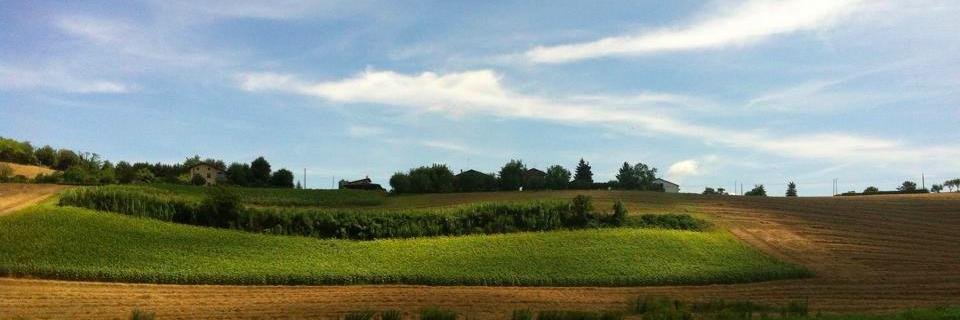 weLand_social's profile banner image