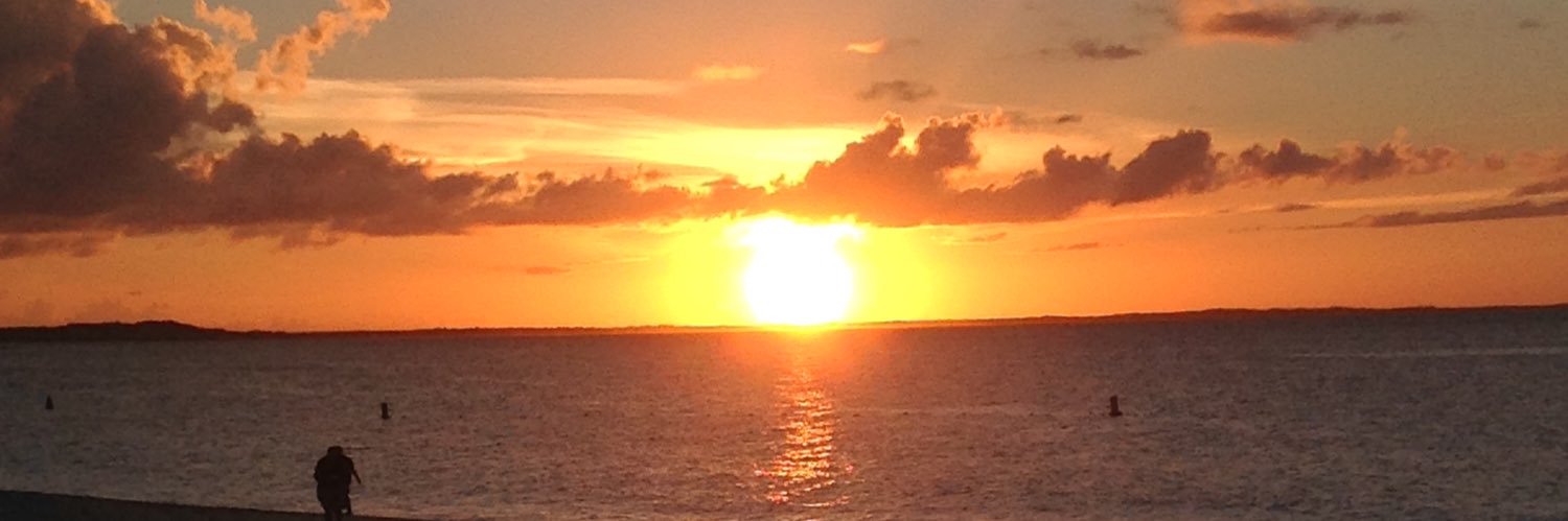 Wayne Williams banner