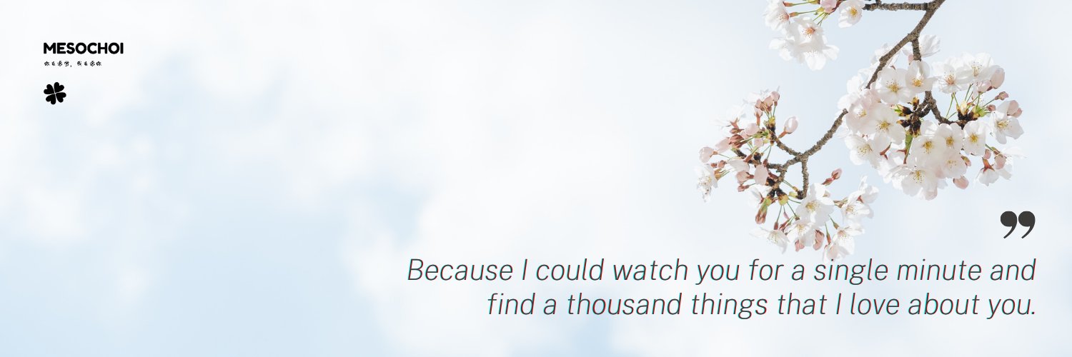 MESO อ่านว่า 'มีโซ' 🍀 banner