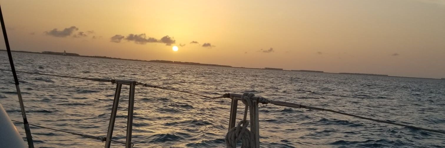 𝘠 i s s y 🪻 banner