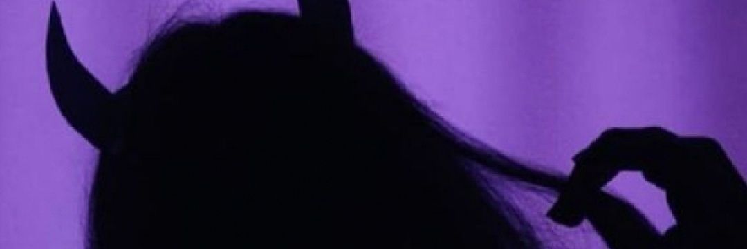 Litziperaltha's profile banner image