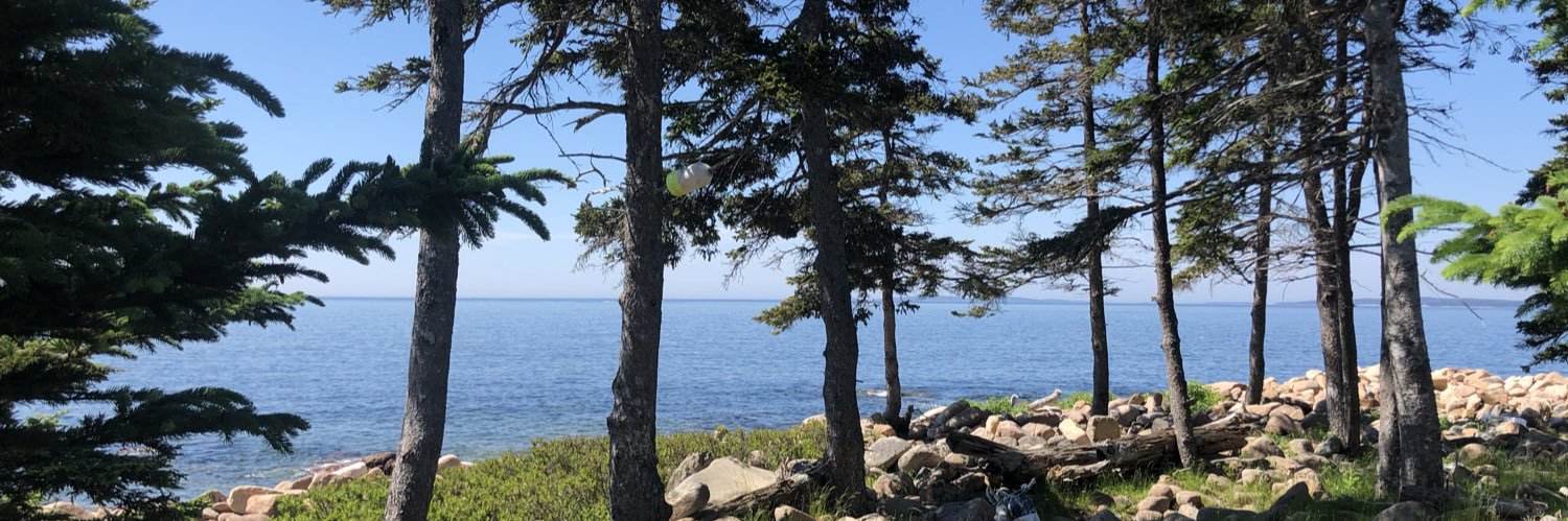 Richard Pense banner