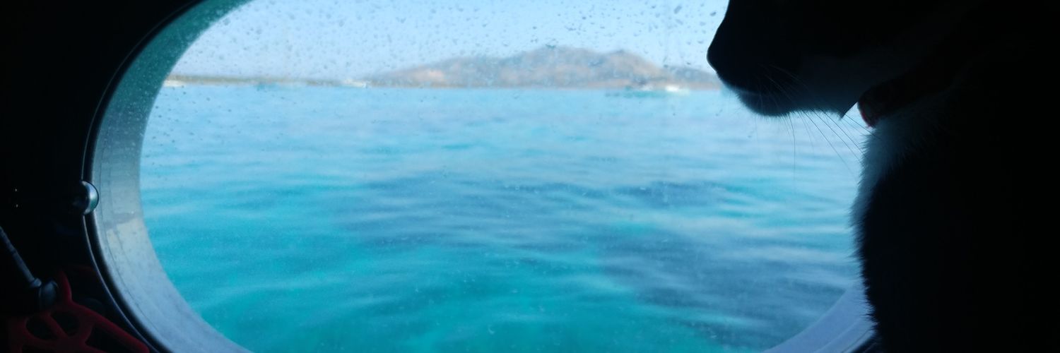 Valentinabitti1's profile banner image