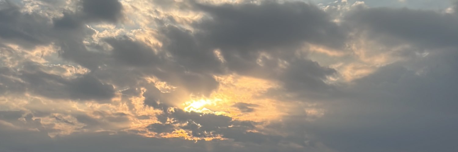 msbt5500's profile banner image