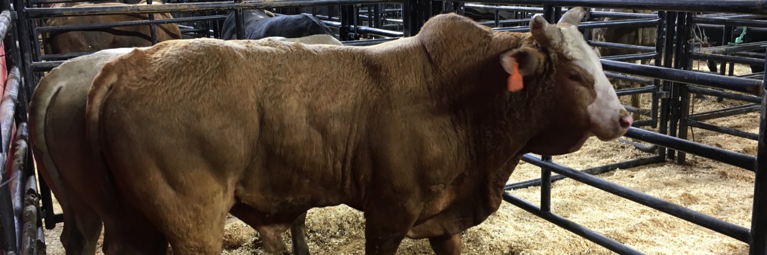 Back 40 BBQ (and Cards) banner