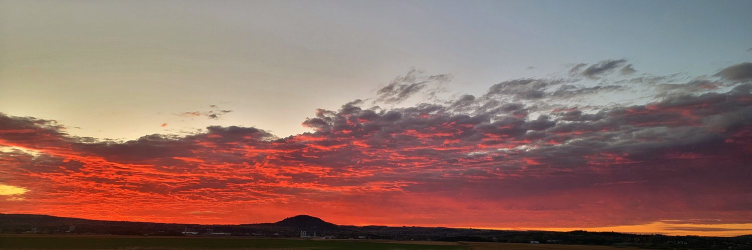 toaq ay nibi - Melissa Labrador banner