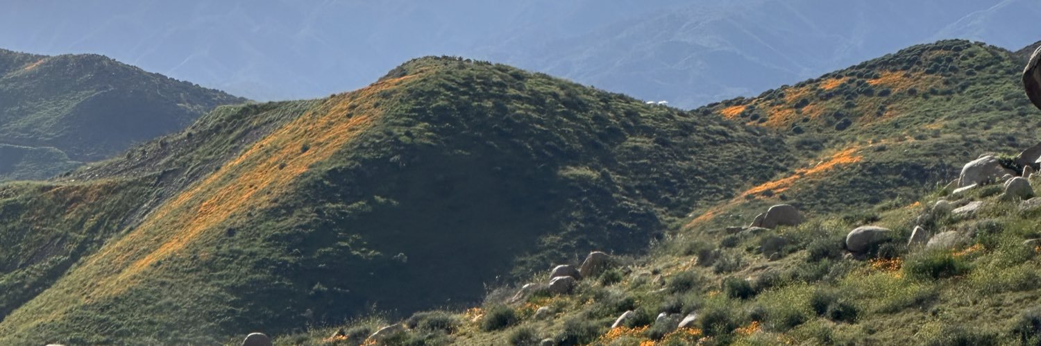 sherbert1213's profile banner image