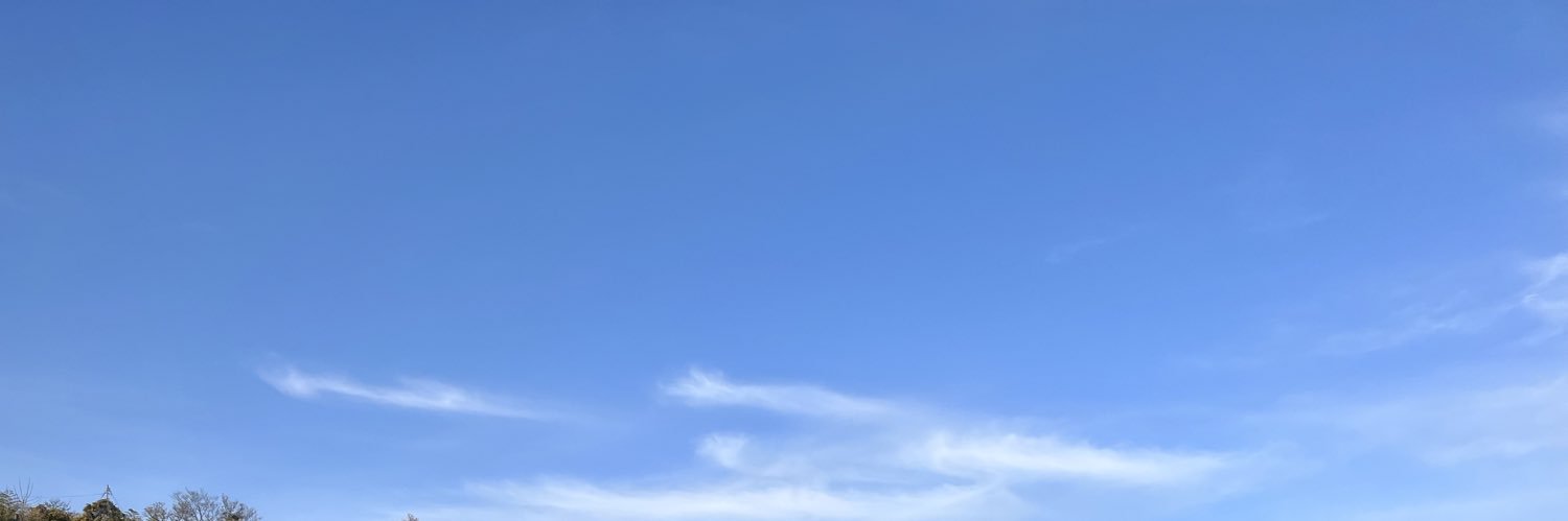 イカさん banner