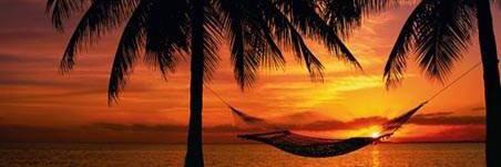 neale7's profile banner image