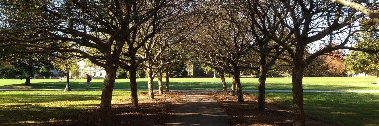 ConnCollegeLive banner