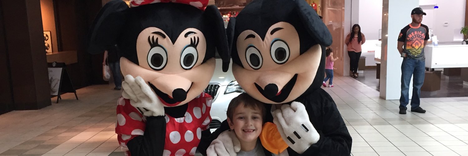 Michelle Willis banner