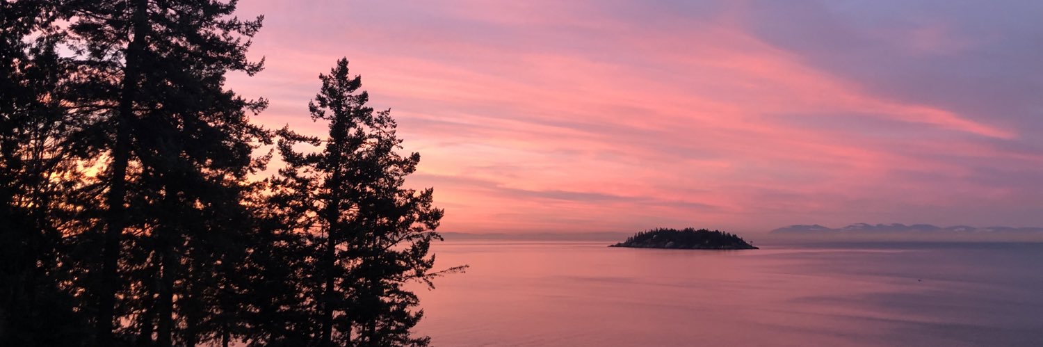 lsturdy's profile banner image