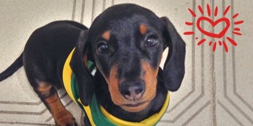 evameleva's profile banner image