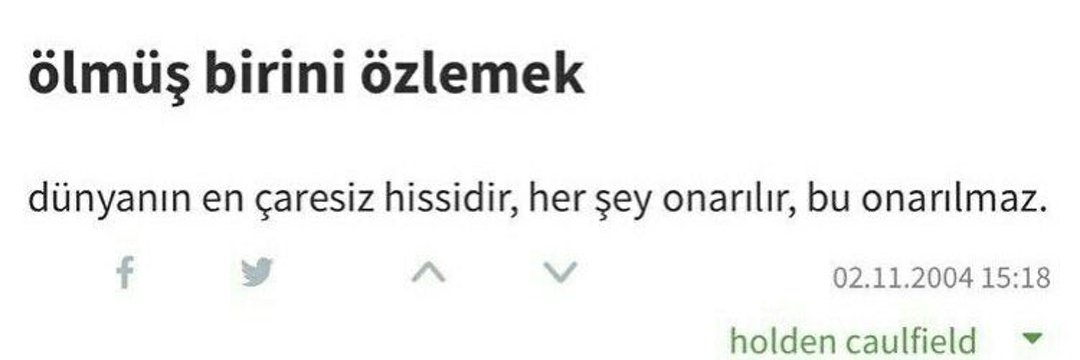 Melis banner