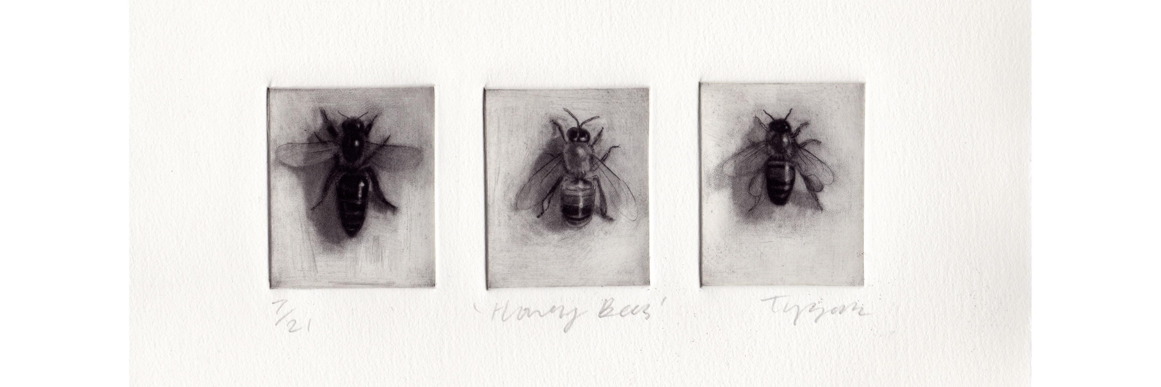 Bees & Insects in Art banner
