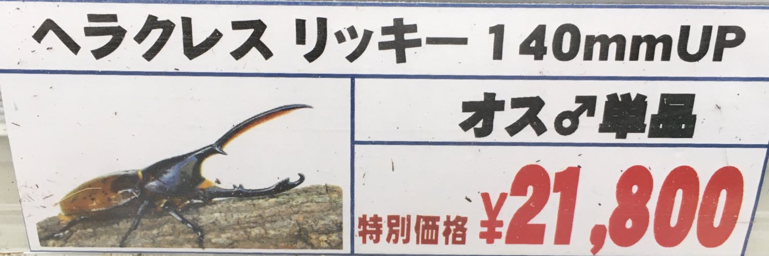 ikirituo's profile banner image