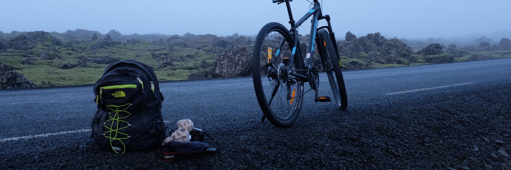 Pierre-Selim 🌻 banner