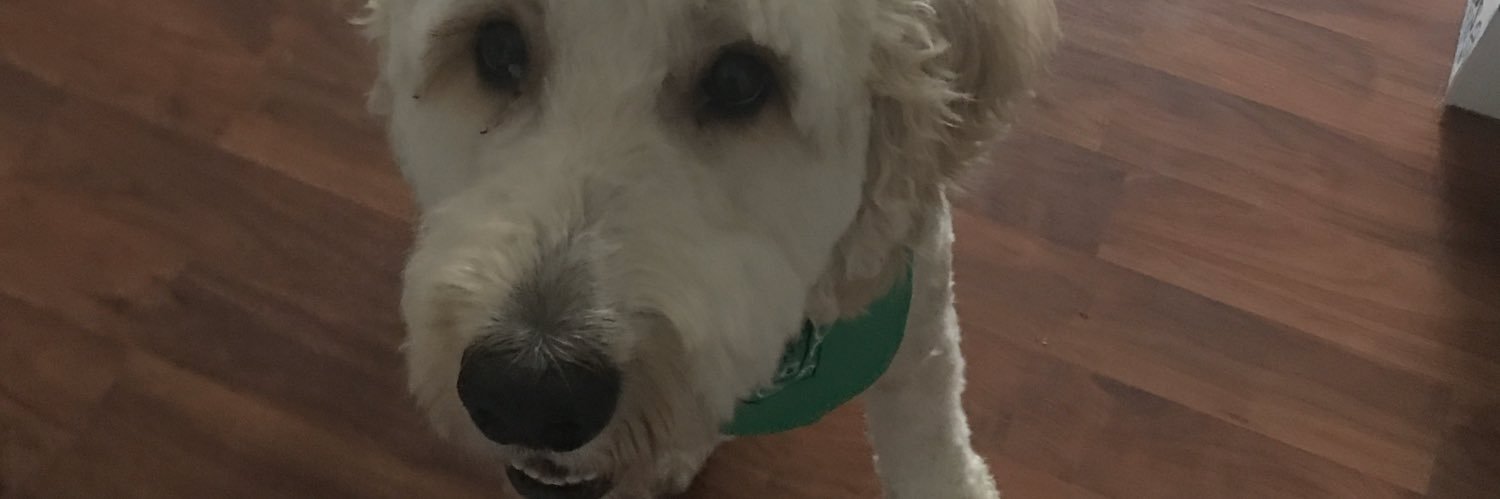 lebrona23's profile banner image