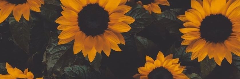 yvv_ca's profile banner image