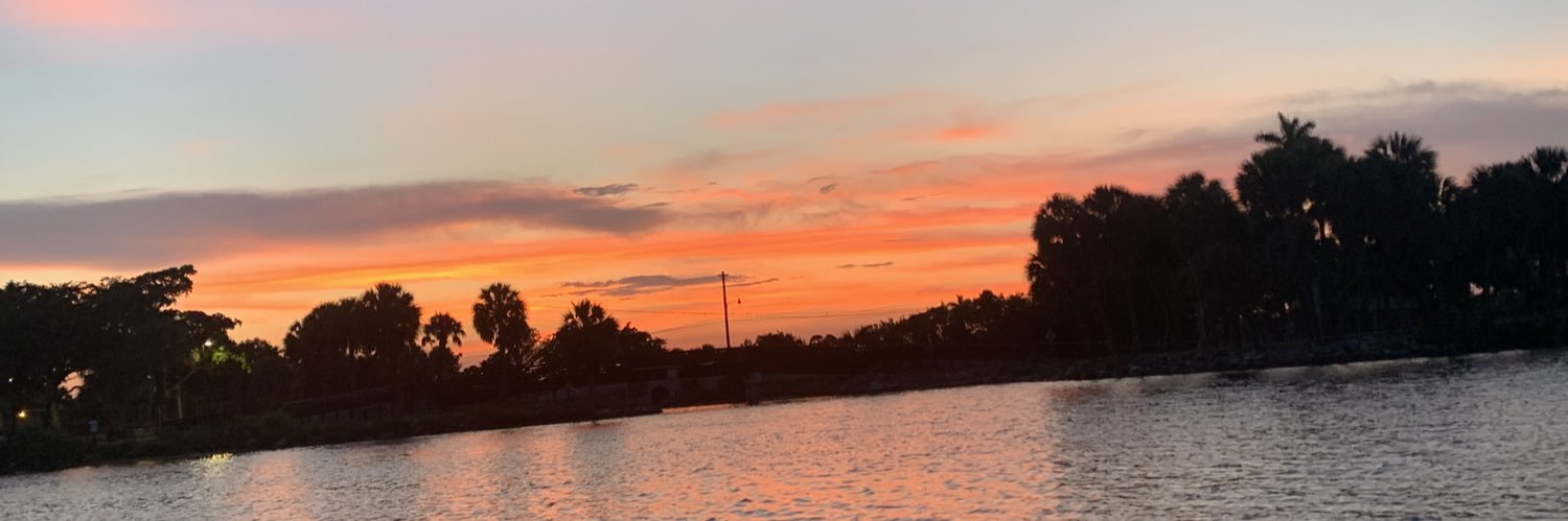 sarahdevvoe's profile banner image