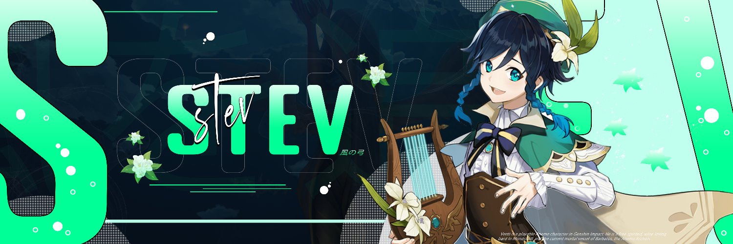 Stev banner
