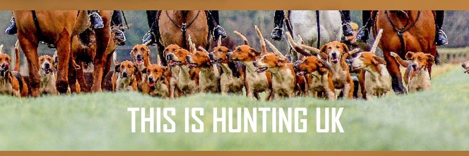 ThisHuntingUK's profile banner image