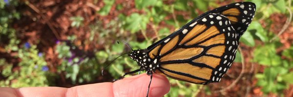 _MsMasters_ Profile Banner