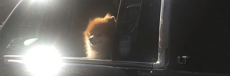 danashleyy's profile banner image