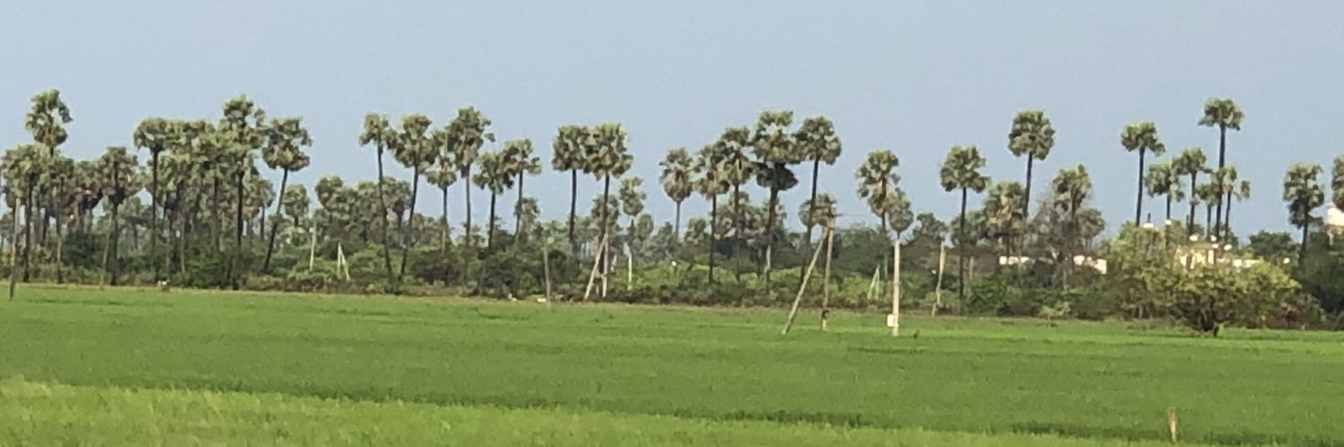 Tummala H's banner