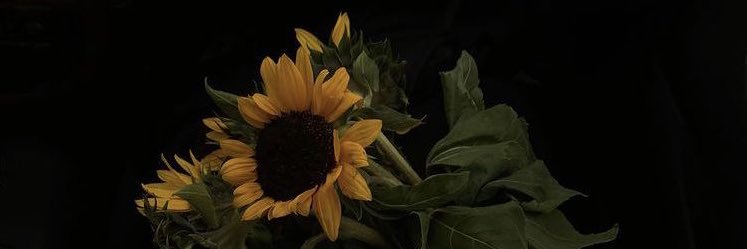 panixbleu's profile banner image
