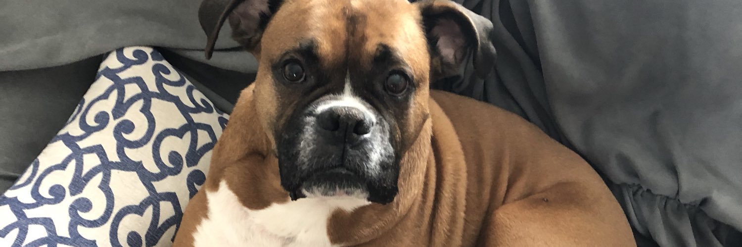 Kaylin Minton banner